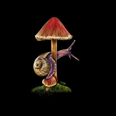 Snail on a Mushroom