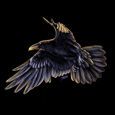 Raven