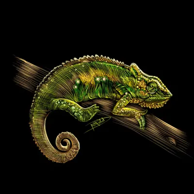 Chameleon
