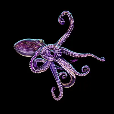 Octopus