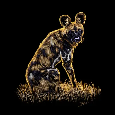 Wild Dog