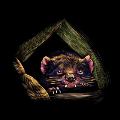 Tasmanian Devil