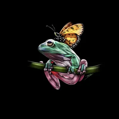 Frog and Butterfly