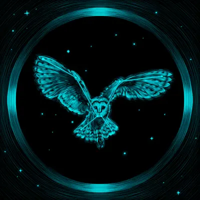 The Barn Owl (Spirit #3)