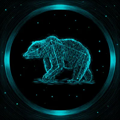 The Grizzly Bear (Spirit #4)