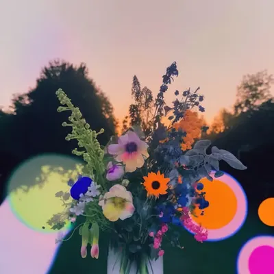 Sunset With Dream Flowers