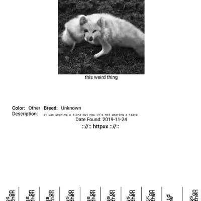 FOUND PET (flyer) :://:: #httpxx :://::