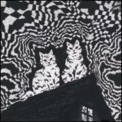The Cats Who Dreamed The Light