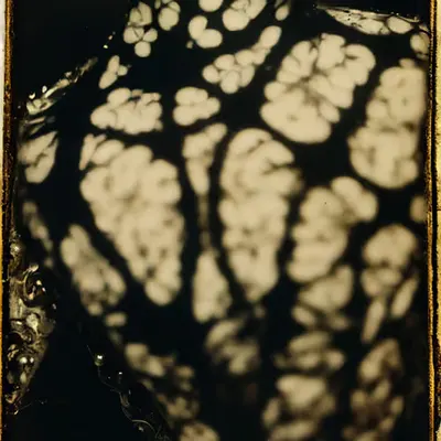 Ver Sacrum #39