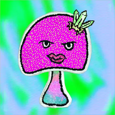 Some Shrooms #1412