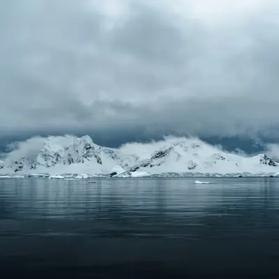 Teal Passage