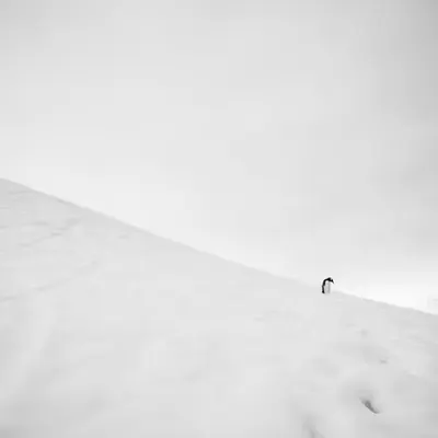 The Last Climb