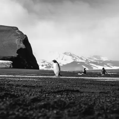 Black Sand Beach