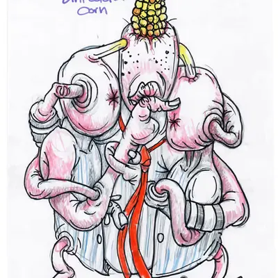 unicolored corn