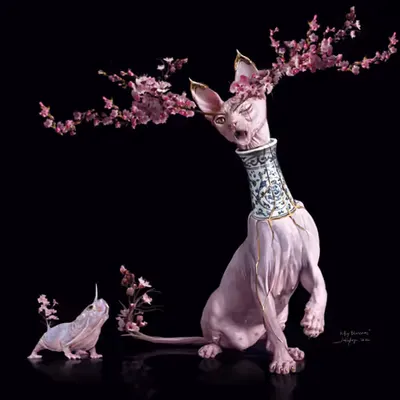 Kitty Blossoms