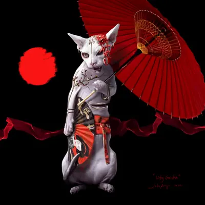 Kitty Geisha