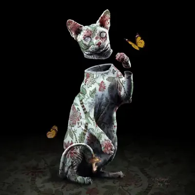 Kitty Played