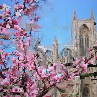 Cherry Blossom with Notre Dame