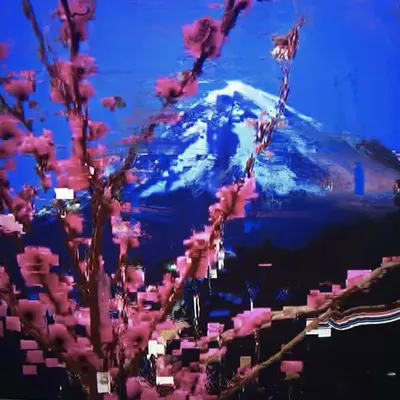 Cherry Blossom with Mount Fuji C