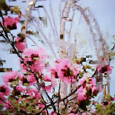 Cherry Blossom with Ferris Wheel A