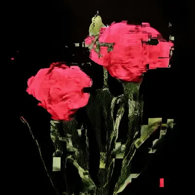 ANDROID PLAZA - Flowers Painting C