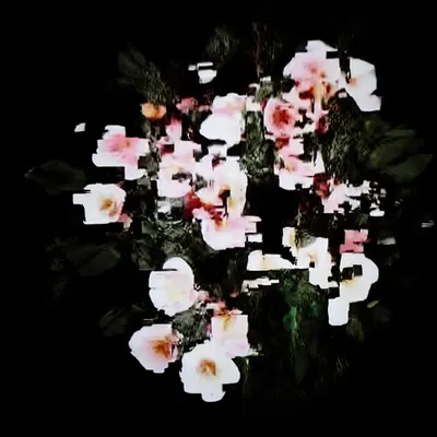 ANDROID PLAZA - Flowers Painting E
