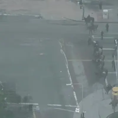 LA Protests