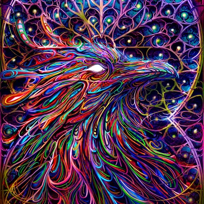 The Phoenix Nest