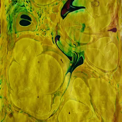 Liquid Dreams