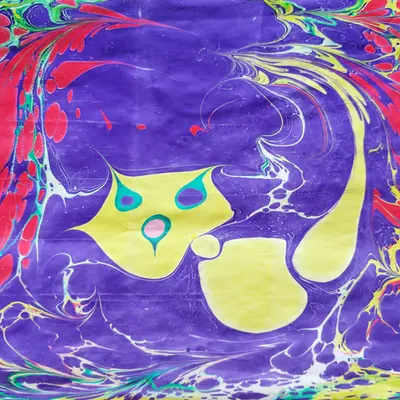 Space Cat