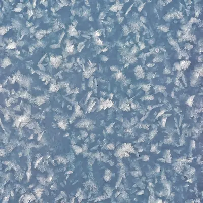 Frozen Silence