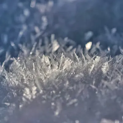 Whispering Frost