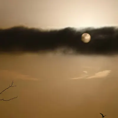 The Sun Hid Behind a Cloud