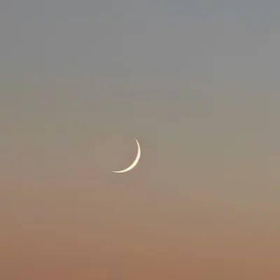 Whisper of the Crescent