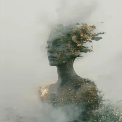 Where Silence Blooms