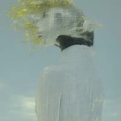 Lucid Reverie
