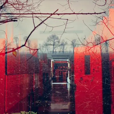 Red Forest