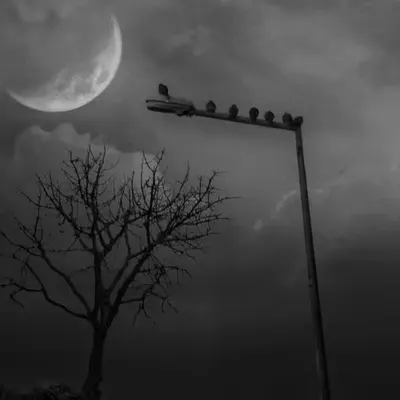 Chatting with the moon