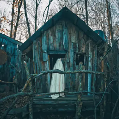 Cabin In The Woods