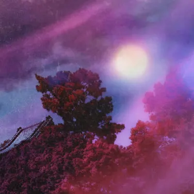 The Place Where Our Love Died