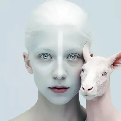A Ghost and Her Four-Legged Muse