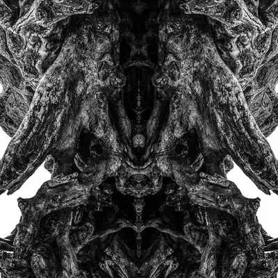 Rorschach #98