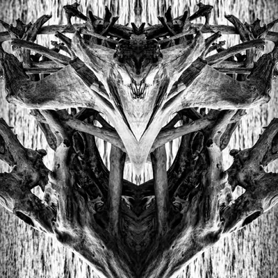 Rorschach #102