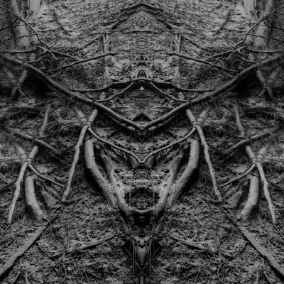 Rorschach #116