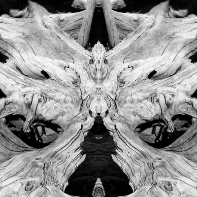 Rorschach #162