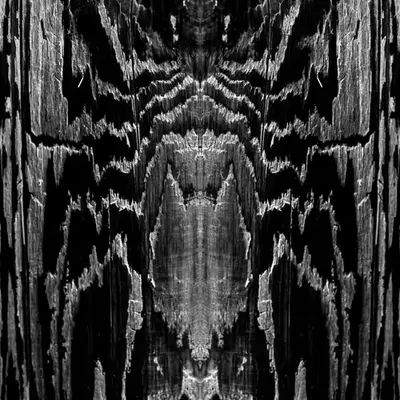 Rorschach #167