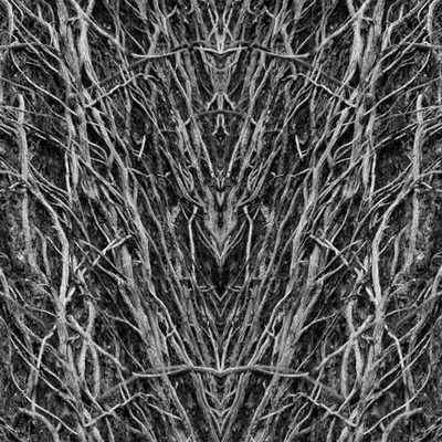 Rorschach #168