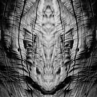 Rorschach #169