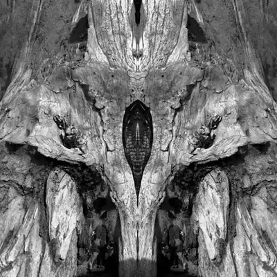 Rorschach #180