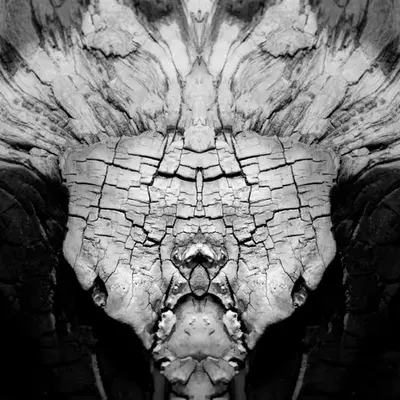 Rorschach #182